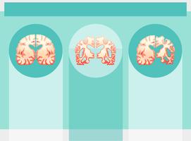 Plantilla de fondo con cerebros humanos vector