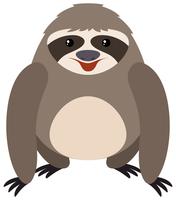 Sloth on white background vector