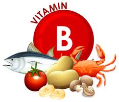 Un conjunto de alimentos con vitamina B vector