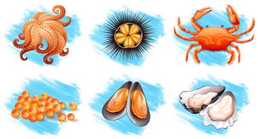 Different kinds of fresh seafood vector