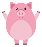 Pink pig on white background