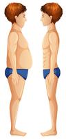 Human Body Fat and Slim vector