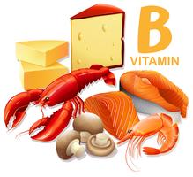 Un conjunto de alimentos con vitamina B vector