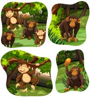 Monos que viven en el bosque profundo vector