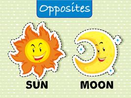 Opposite wordcard for sun and moon vector