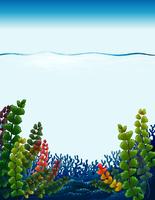 A beautiful underwater template vector