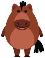 Brown pony on white background vector