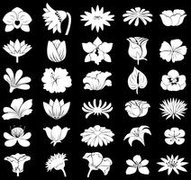 Flowers vector