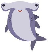 Hammerhead shark on white background vector