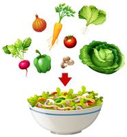 Variety of salad in a bowl vector