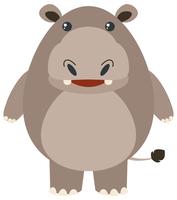 Cute hippo on white background vector