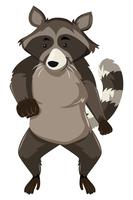 A raccoon dancing on white background vector
