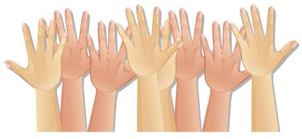 Human Hands with Diffrent Skin Colour vector