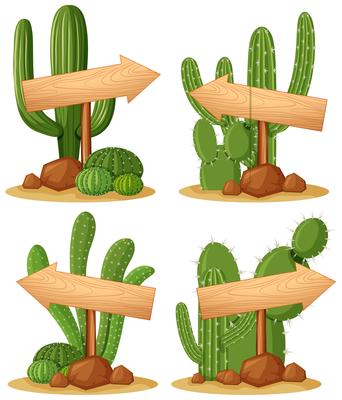 Wooden signs in cactus garden