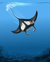 A manta ray underwater scene vector