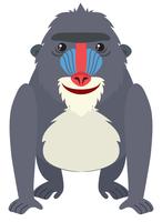 Baboon with happy face vector