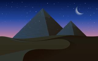 A desert at night vector