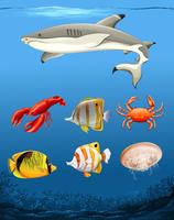 Many fish underwater theme vector