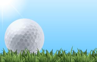 Golf ball on grass vector