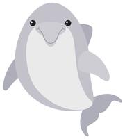 Cute dolphin on white background vector