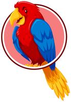 A parrot in circle template vector