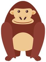 Happy gorilla on white background vector