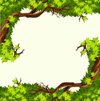 A tree branch frame vector