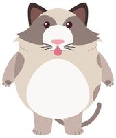 Fat cat on white background vector