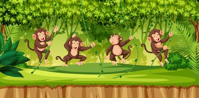 Mono en el bosque salvaje vector