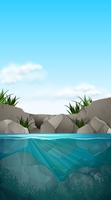 A beautiful water scene vector