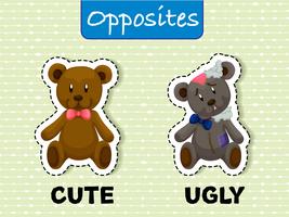 Opposite wordcard for cute and ugly vector