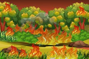 Dangerous forest fire background vector
