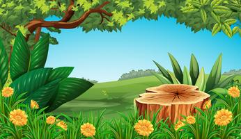 Scene with stump tree and field vector