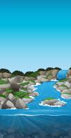 A beautiful stream landscape vector