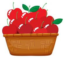 Fresh cherries in the basket vector