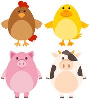 Four different kinds of farm animals vector