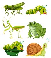 Diferentes tipos de insectos en color verde. vector