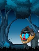 Un mandril en el bosque oscuro. vector