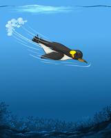 A penguin swimming underwater vector