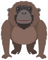 Orangután Marrón Con Cara Feliz vector