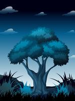 Una escena nocturna en el bosque. vector