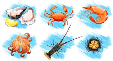 Different type of seafood vector