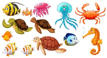 Diferentes tipos de animales marinos. vector