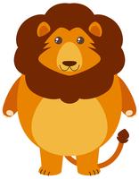 Fat lion on white background vector