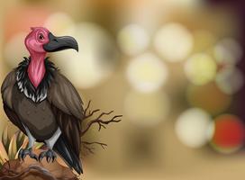 A vulture on blurry background vector