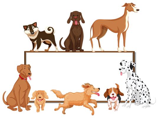 Many kinds of pet dogs on the board