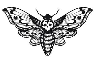 Cabeza de muerte Hawk Moth