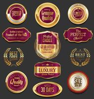 Insignias y etiquetas de oro premium de lujo vector