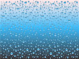 Realistic water drops on a plain glass, vector illustration