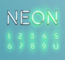 Realistic neon character typeset, vector